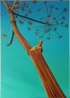 /album/berenklauw-en-judaspenning/berenklauwen-7-jpg2/